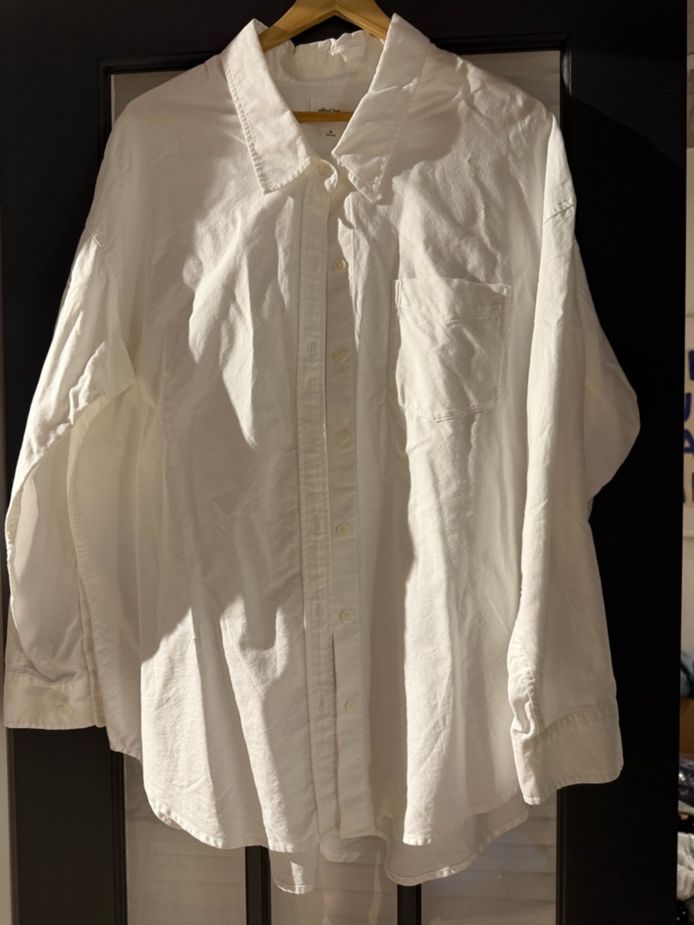 Wilfred Free by Aritzia Classic White Button-Up Shirt